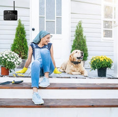 Wireless Electric Dog Fence Waterproof Pet Shock Boundary Containment System Electric Training Collar For Small Medium Large Dogs